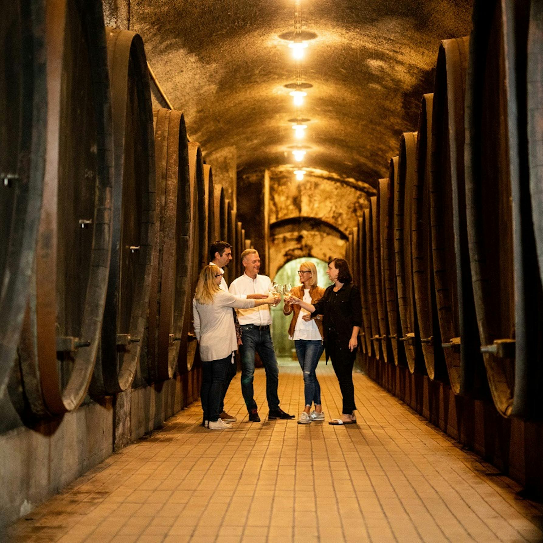 Vinagova klet Maribor